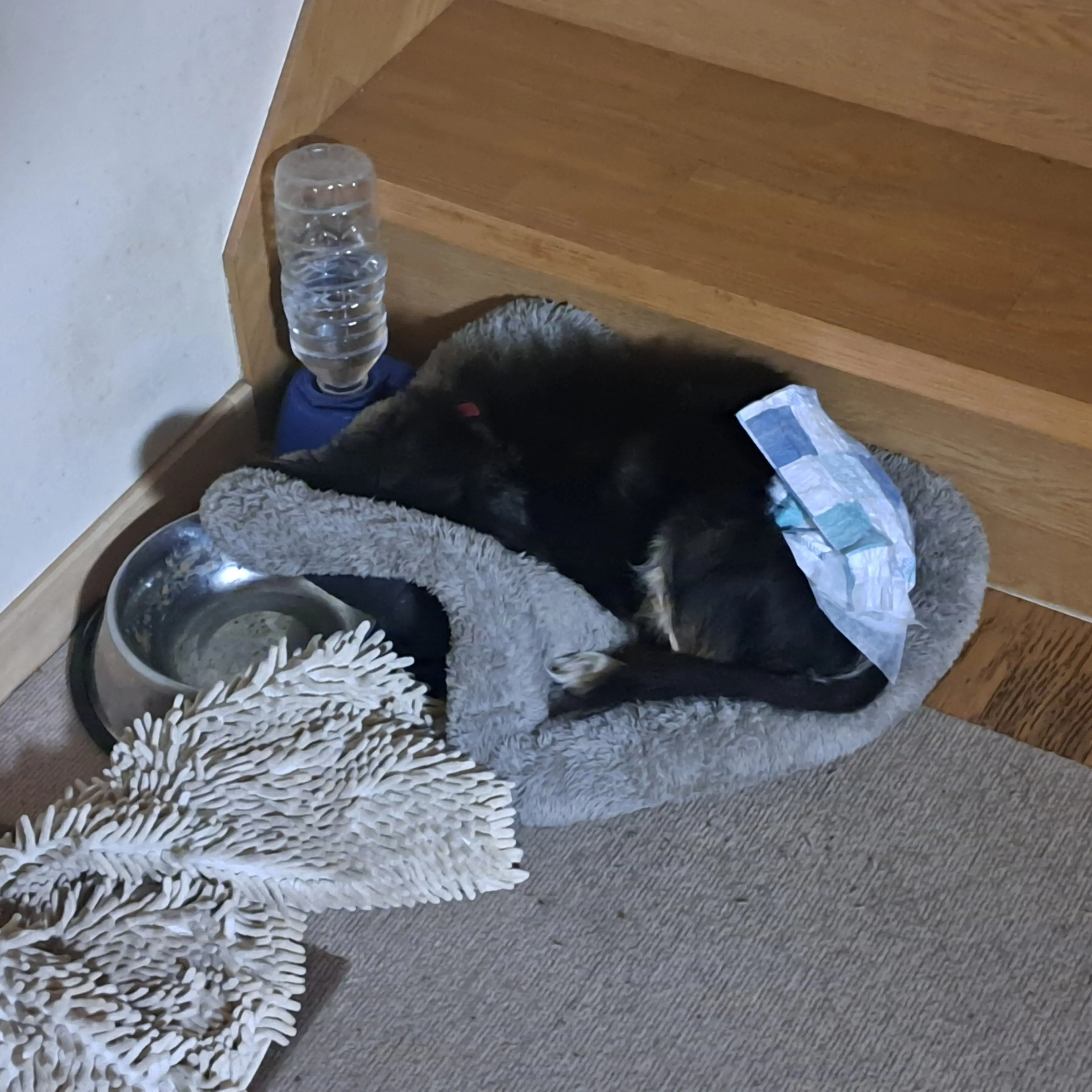 K-S1023의 推しに愛され