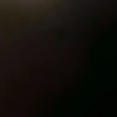 Profile image of 하야테