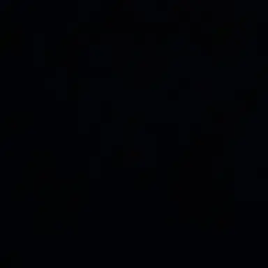 Profile image of 동현