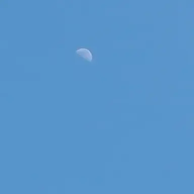 Profile image of 윤윤제