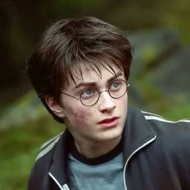 Profile image of Harry Potter