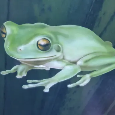 Profile image of 아두디두나두디아두뚱