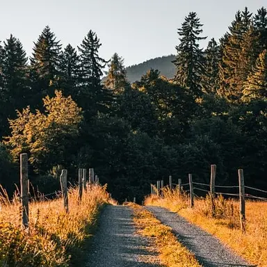 Profile image of 레쏘