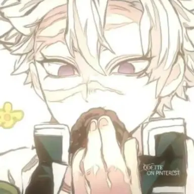 Profile image of 시나즈가와 사네미