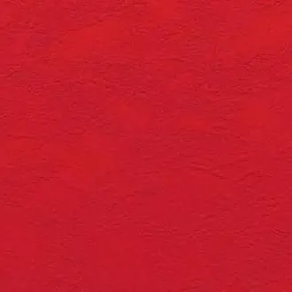 Profile image of ロマーノ