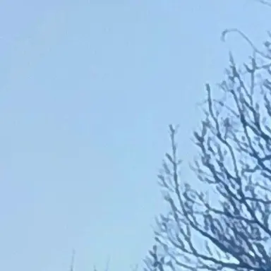 Profile image of 黒木夏海