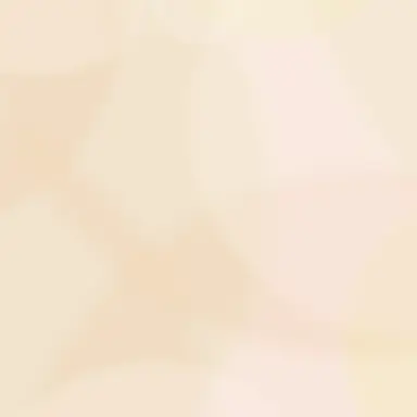 Profile image of 叶