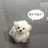 묭재현