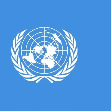 Profile image of UN평화유지군