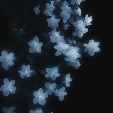 Profile image of ユウシ