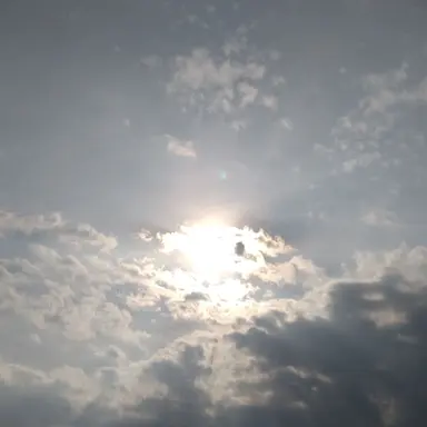 Profile image of 他ライバー