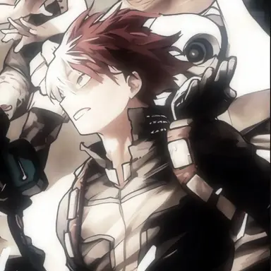 Profile image of Todoroki