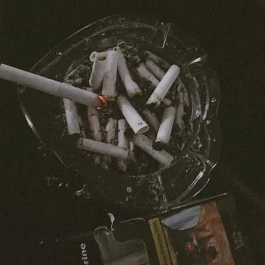 Profile image of 제임스