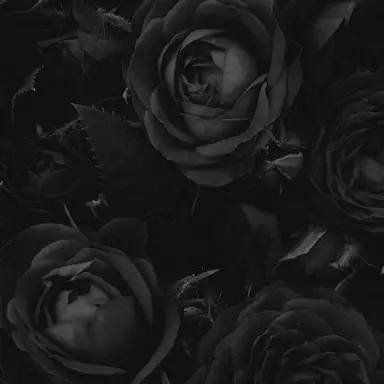 Profile image of Controlling Men