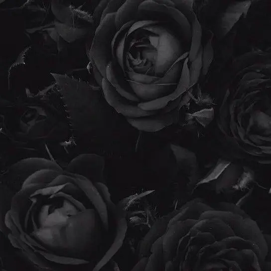 y_ys2p의 狂気と暴力支配で奪う