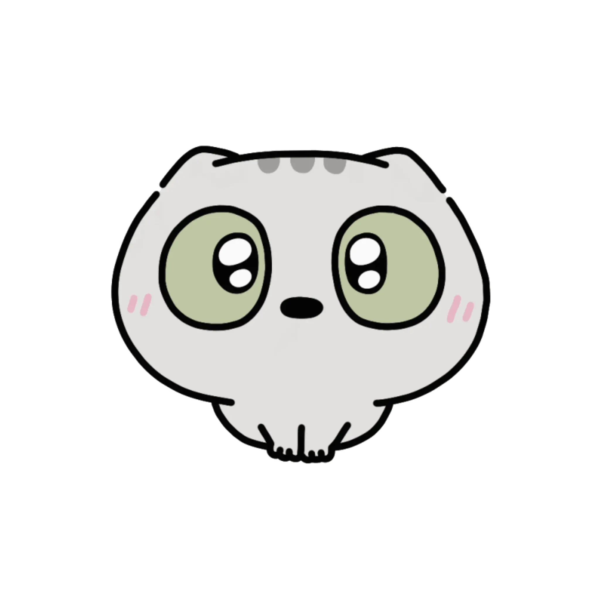 Developer_K2의 토리