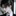 최 승 현