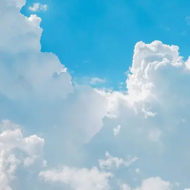 Profile image of 선생님