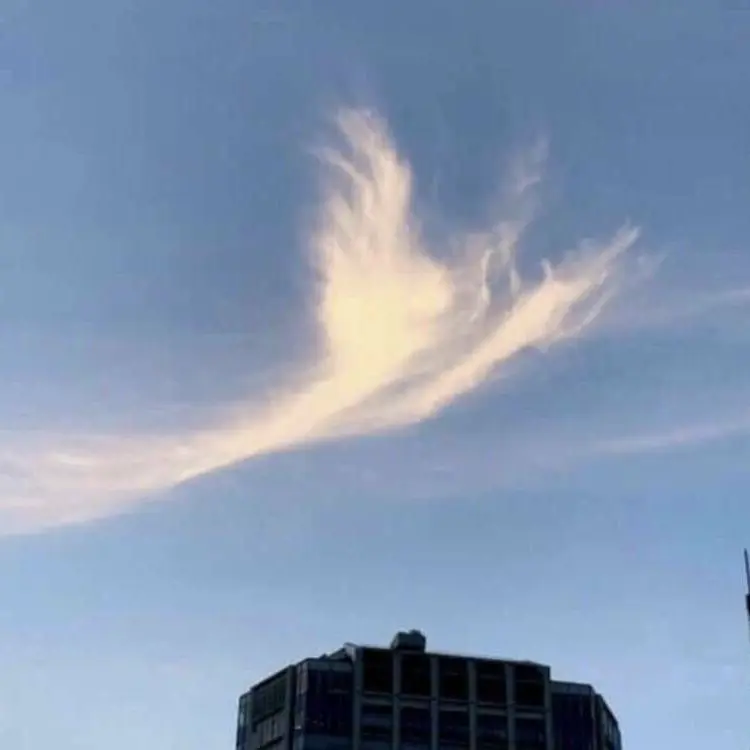 SanndonomesiyoriBL의 May4と…