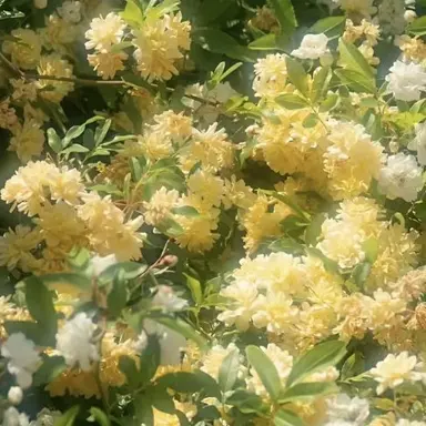 Profile image of たっつん