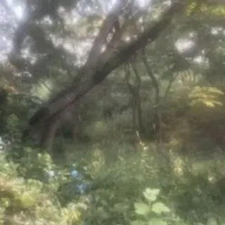 Profile image of じゃぱぱ