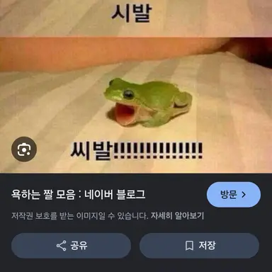 Profile image of 여우