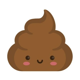 똥이