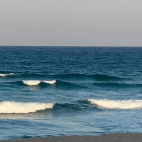 likeoceanfish의 이세계의 수인 자매들!