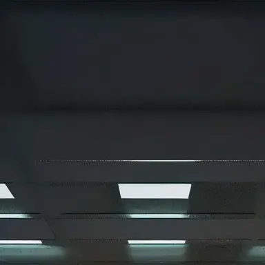 Profile image of Elliot