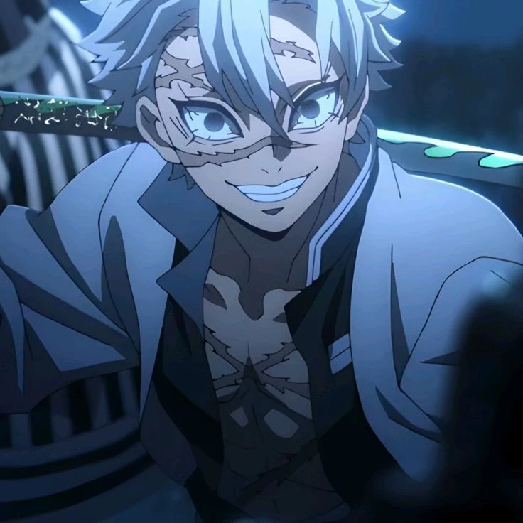 시나즈가와 사네미