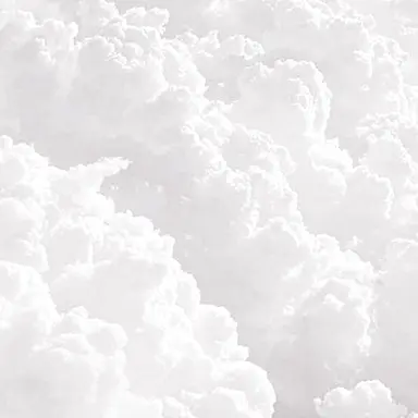 Profile image of 유기사