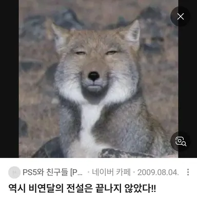 Profile image of 여우