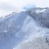 Profile image of スキー場