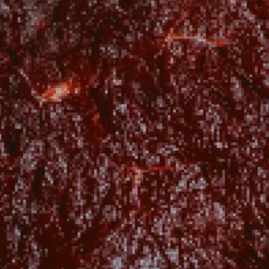 Profile image of 차결호