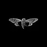 Profile image of Cicada3301