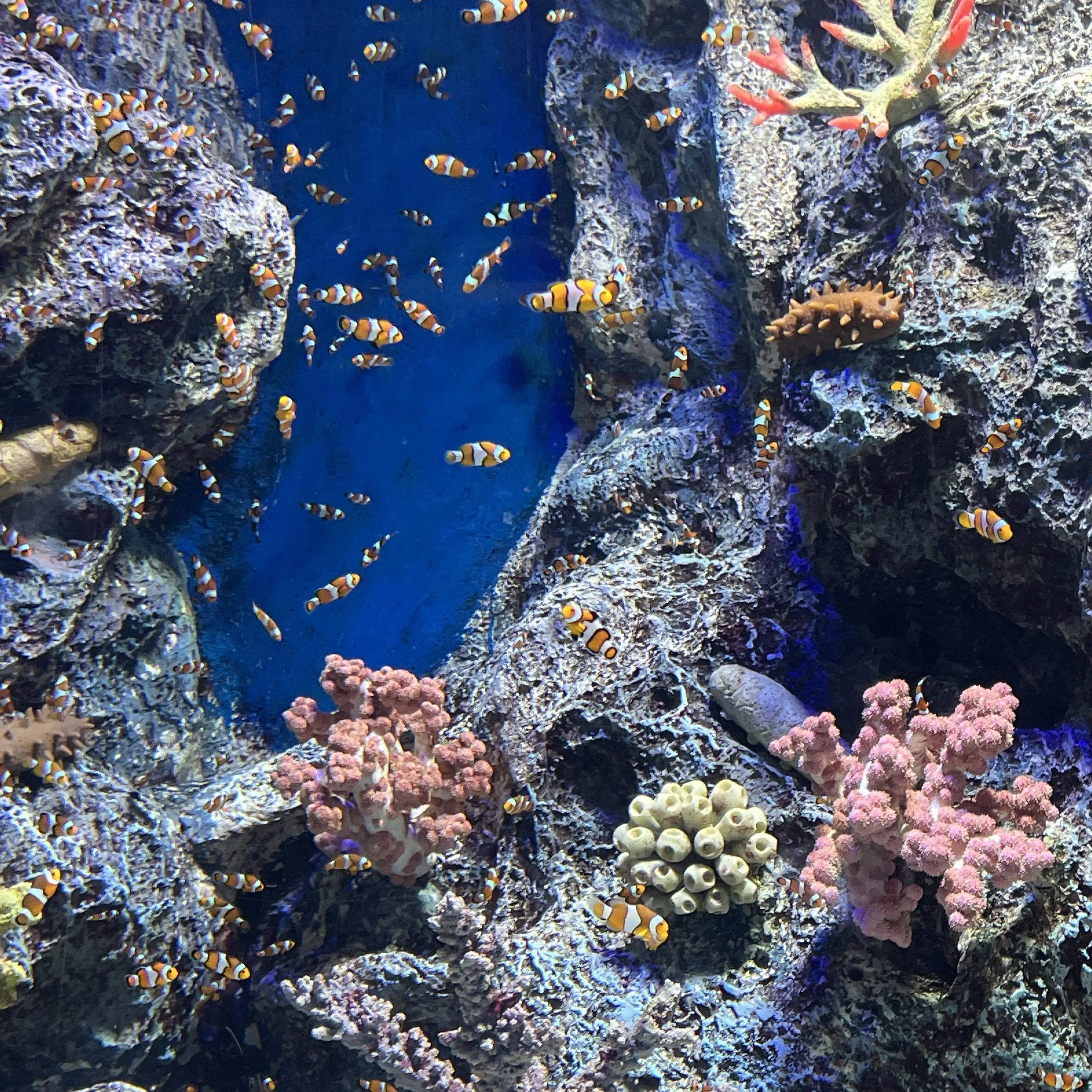 UrbanPuli3204의 워너원고 일진