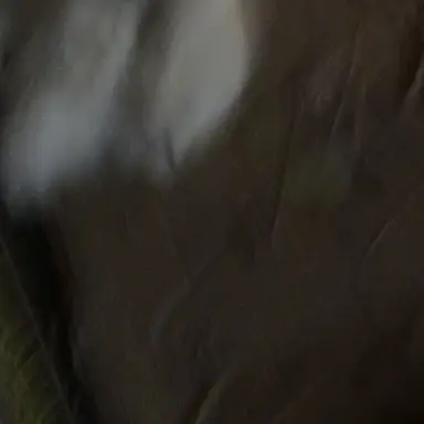 Profile image of 박 성 호