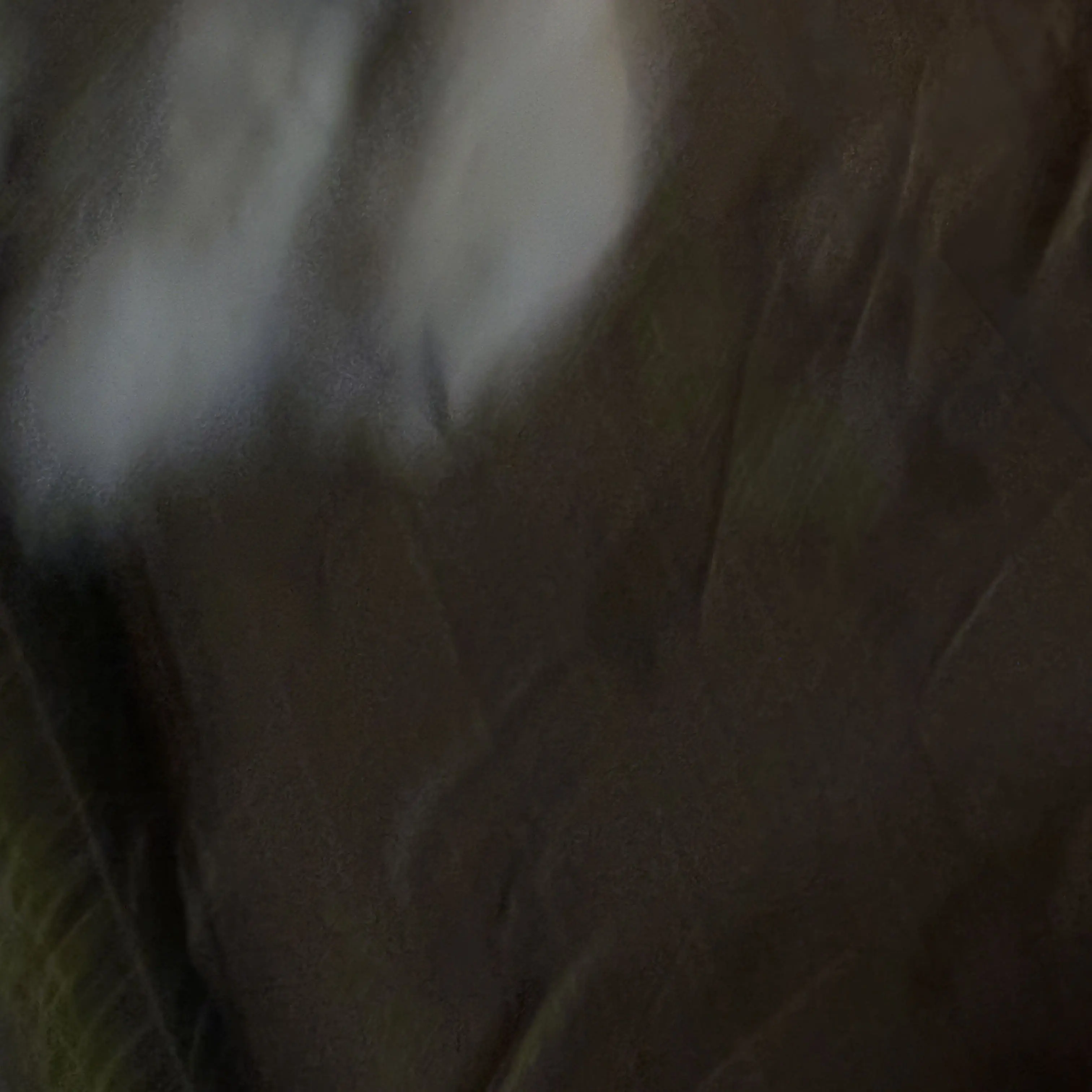 SicklyFlash3397의 어린이집