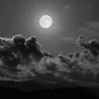 Profile image of 평상욱