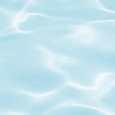 Profile image of 수아