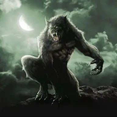 Profile image of The Werewolf