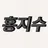 홍지수