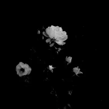 Profile image of 잉크모