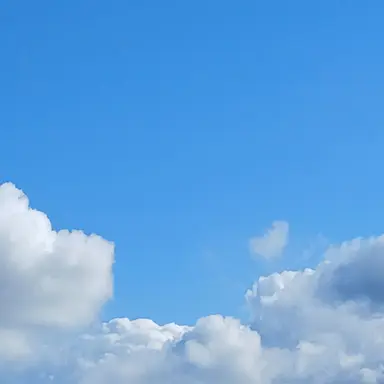 Profile image of 이다