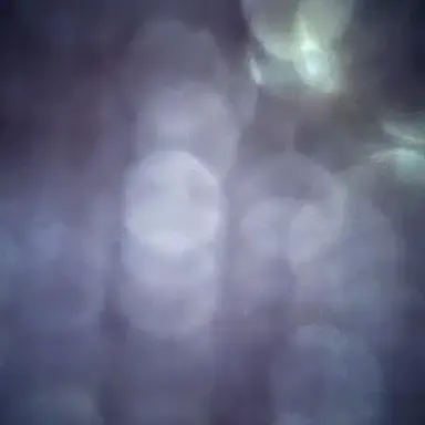 Profile image of 유기사