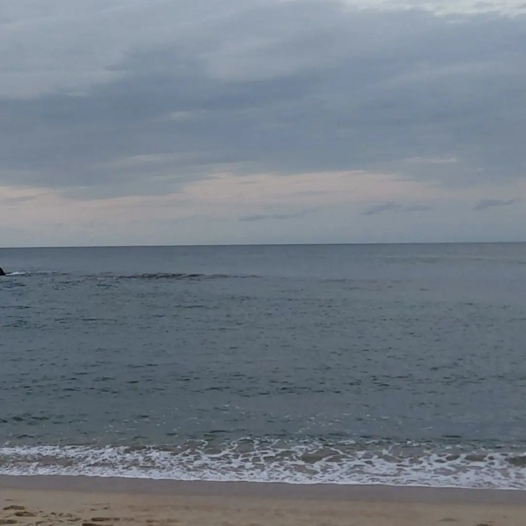 SilentXeme4421의 유튜버 고등학교+당신이 우고임