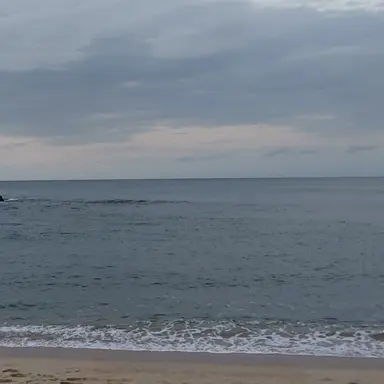 Profile image of 꽥꽥탐험대