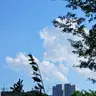 Profile image of BK