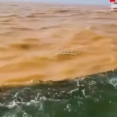 Profile image of 바다