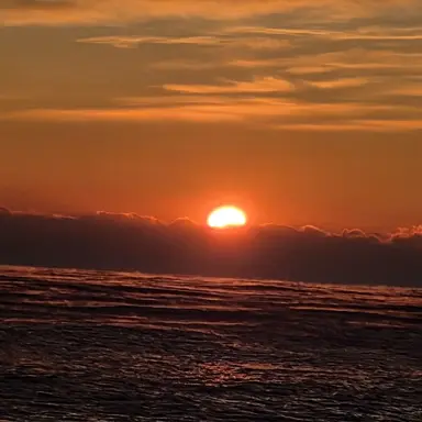 Profile image of 태싼